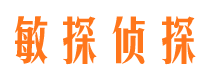 崇明市调查公司